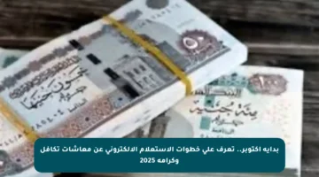 بداية أكتوبر.. تعرف على خطوات الاستعلام الإلكتروني عن معاشات تكافل وكرامة 2025